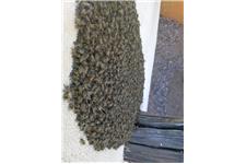 Desert Swarm Bee Removal, LLC image 2