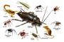 Sniper Termite and Pest control services logo
