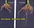 Pro Soil Bio Solutions for Agriculture image 3