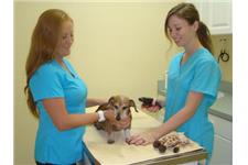 VSA Animal Hospital image 2