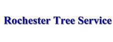 Rochester Tree Service image 1
