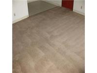 Real Deal Carpet & Upholstery Cleaning image 3