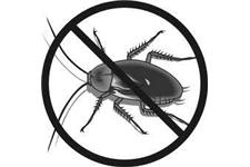 Certi-Tech Pest & Termite Inc image 4
