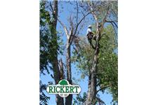 Rickert Landscaping & Tree Service image 4