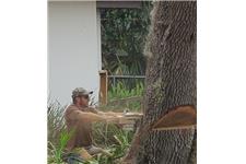 Griffin's Tree Care LLC image 2
