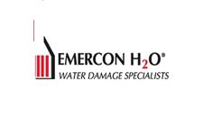 Emercon H2O image 1