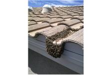 Desert Swarm Bee Removal, LLC image 7