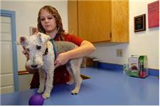 Veterinary Healing Center of El Dorado Hills image 4