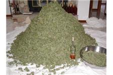 Buddy's Cannabis image 8