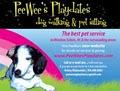Peewee's Playdates Dog Walking and Pet Sitting image 1