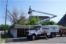 All Seasons Tree Service image 1