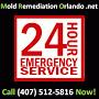 Mold Remediation Orlando image 1