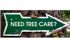 Concord Tree Services image 4