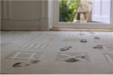 TCM Carpet Cleaning & Floors image 1