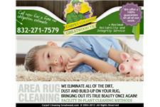 Carpet Cleaning Greatwood TX image 3