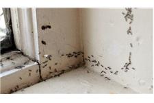 Pest Defense Solutions OKC image 5