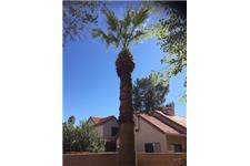 Valley Tree Services image 2