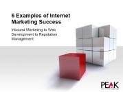 Peak Internet Marketing image 9