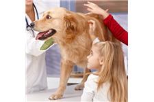 Foxmoor Veterinary Clinic image 4