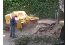 Keith's Stump Removals image 3