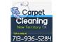 Carpet Cleaning New Territory TX logo