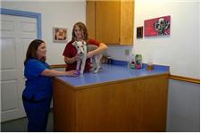 Veterinary Healing Center of Folsom image 3