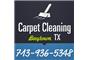 Carpet Cleaning Baytown TX logo