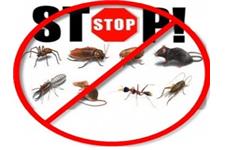 Pest Control Lawrenceville image 1