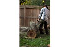 Lumberjack Tree Service image 1