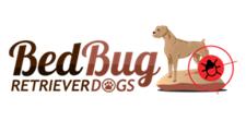 Bed Bug Exterminator NYC image 1