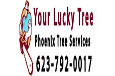 Tree Service Phoenix AZ image 1