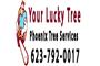 Tree Service Phoenix AZ logo