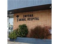 Smyrna Animal Hospital image 1