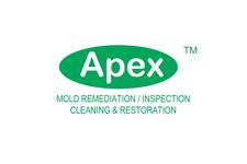 Apex Mold Specialists image 7