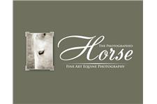 The Photographed Horse image 1