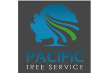 Pacific Tree Service image 1