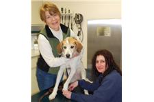 Ford Road Animal Clinic image 1