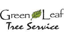 Green Leaf Tree Service image 1