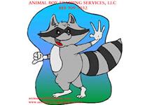 Animal Boy Trapping Services LLC image 1
