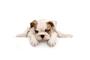 Puppy-Luv Dog Grooming Salon logo