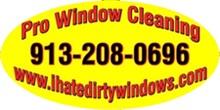Pro Window Cleaning image 1
