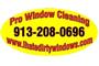 Pro Window Cleaning logo