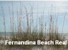 Fernandina Beach Real Estate image 1