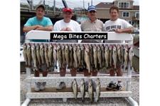 Mega Bites Charters image 1