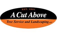 A Cut Above Tree Service And Landscaping image 1