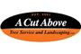A Cut Above Tree Service And Landscaping logo