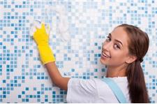 House Cleaning Services of Ann Arbor image 3