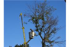 Erie Tree Trimmers image 3