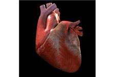 Integrative Cardiology & Preventative Medicine Center image 2