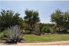 Central Texas Tree Care image 2